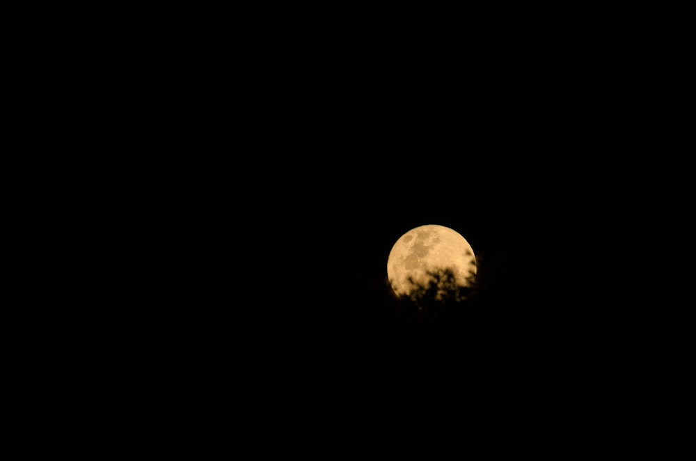 Luna llena en cielo nocturno oscuro