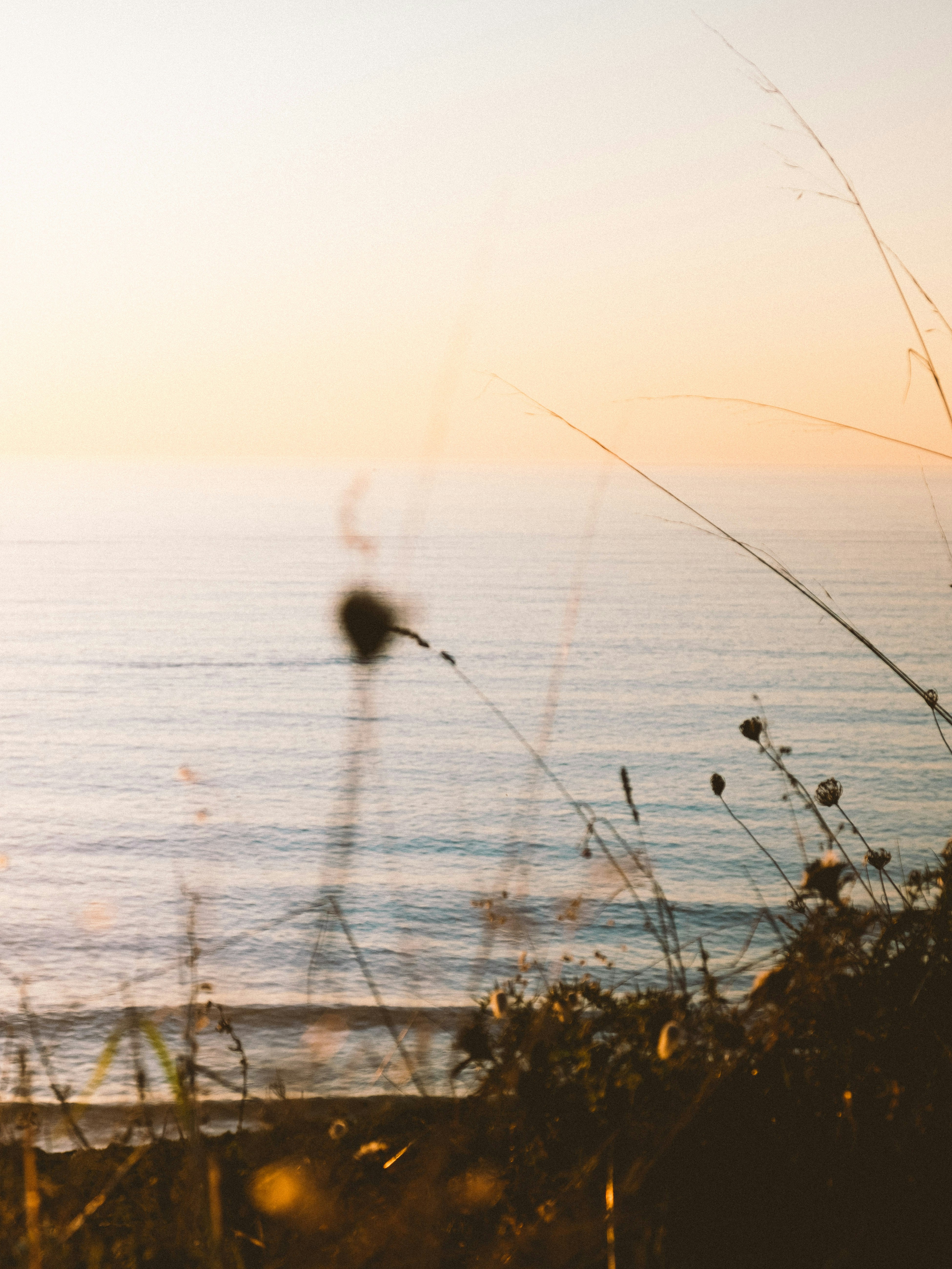 Photo by absolutocaos