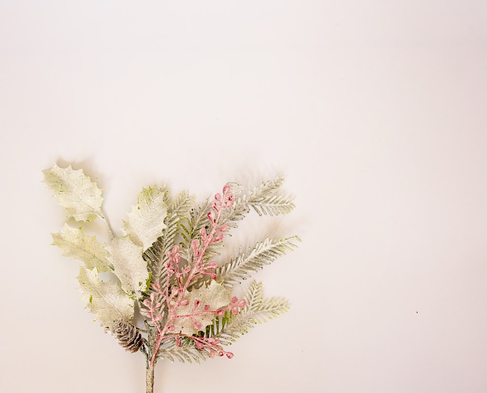 white flowers on white surface