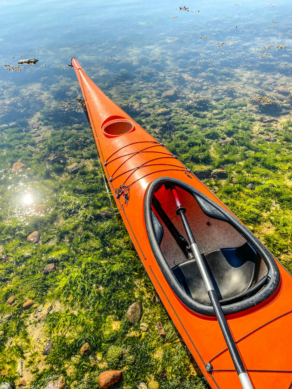 orange and black kayak on green grass field