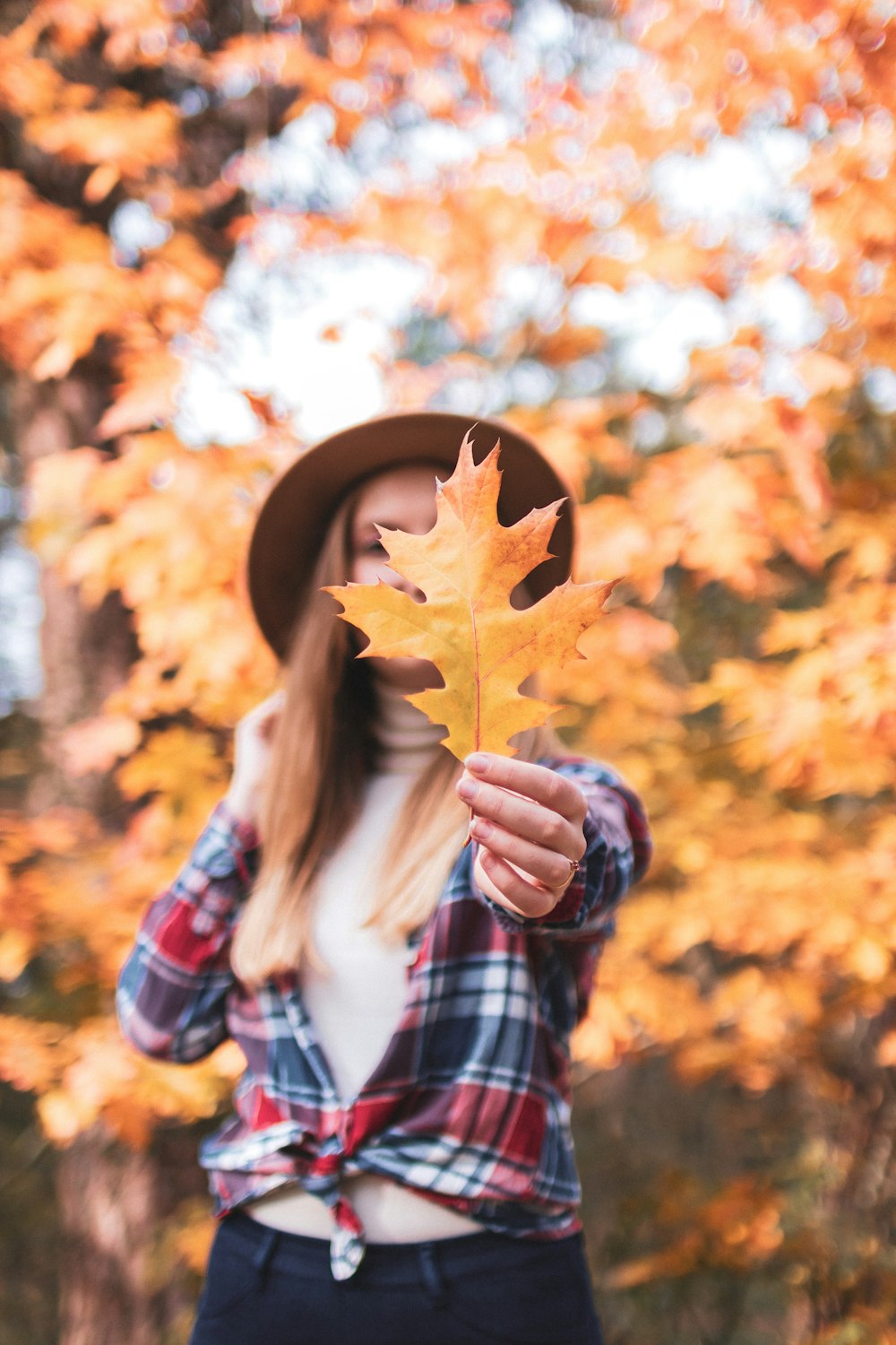 woman in blue and white plaid dress shirt holding brown maple leaf