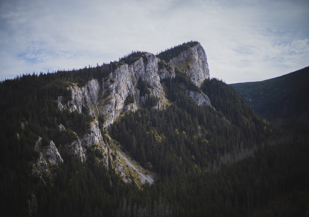 green trees on mountain under cloudy sky during daytime