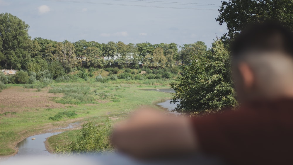 green trees beside river during daytime