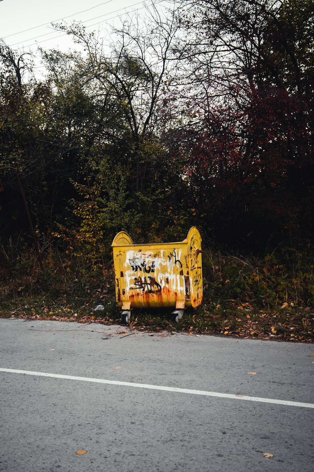 yellow and black trash bin on gray asphalt road
