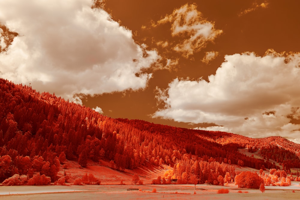 brown and gray mountains under white clouds and blue sky during daytime