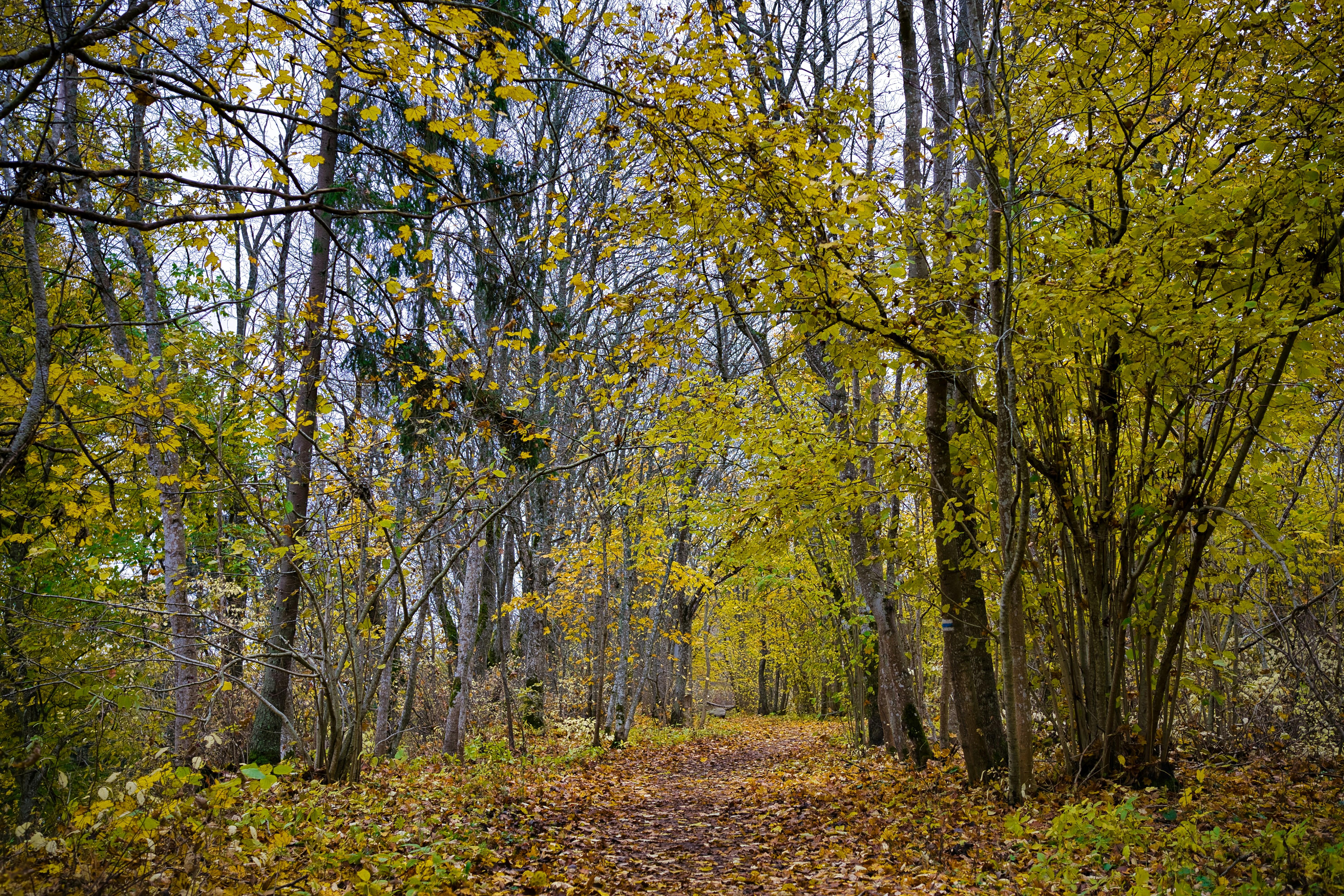 Photo by maksimshutov