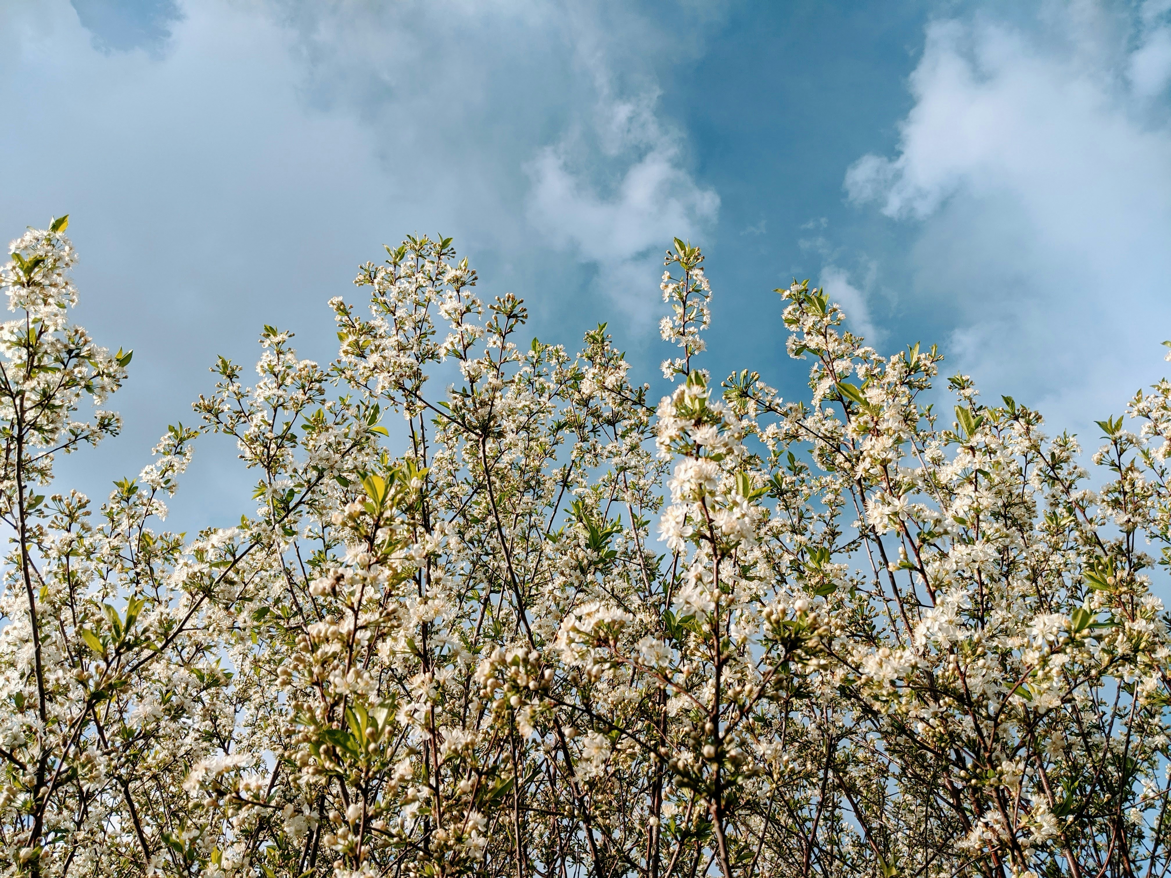 Photo by shakirovrrr