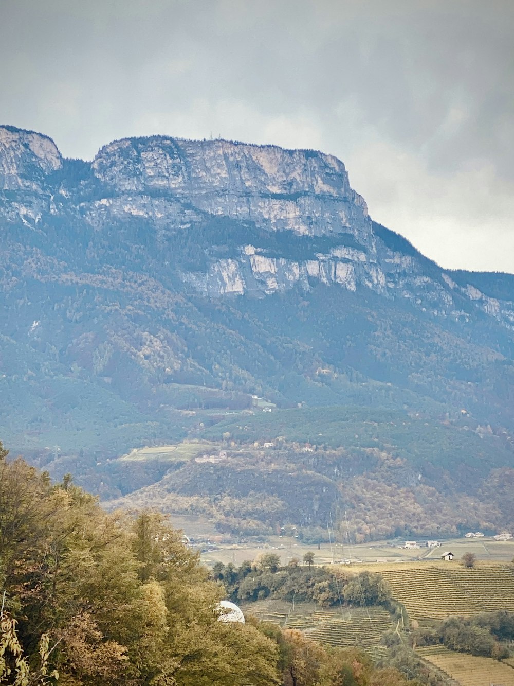 green trees near brown mountain during daytime