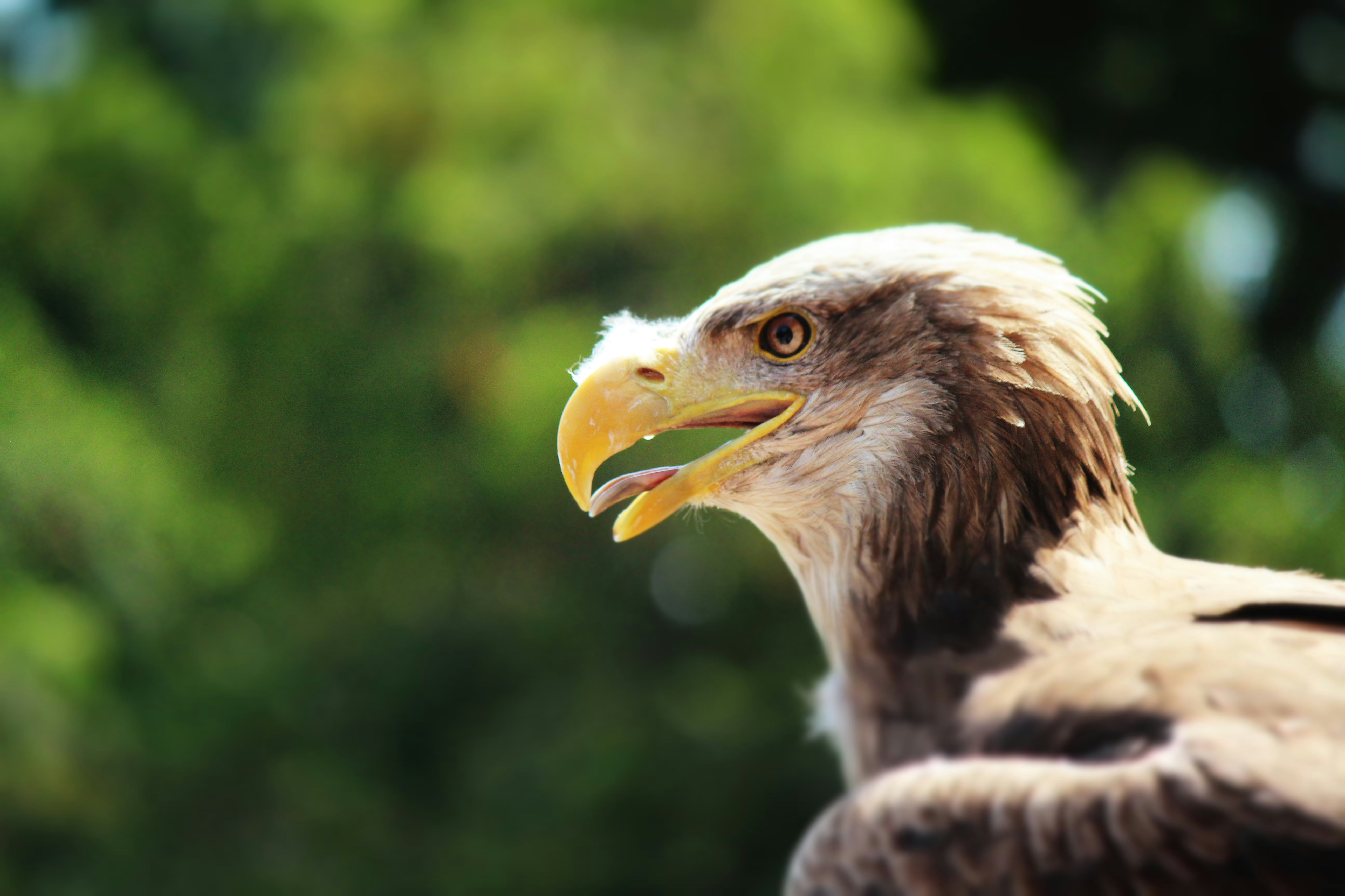 Photo by haim_charbit18