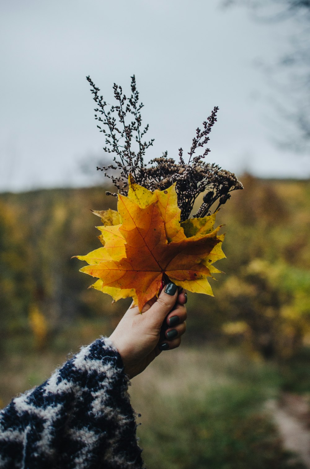 person holding yellow maple leaf