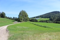 A peaceful countryside scene showing green fields and a winding path symbolizing thoughtful movement.