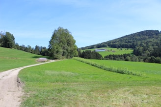 A serene rural landscape with a winding path leading through green fields and distant hills.