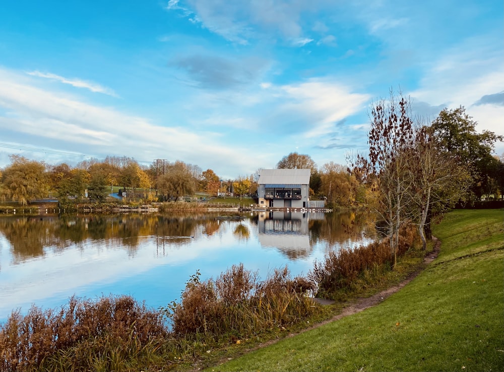 brown trees beside river under blue sky during daytime