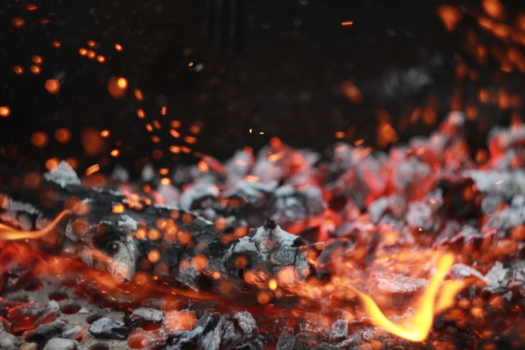 burning firewood in fire pit,