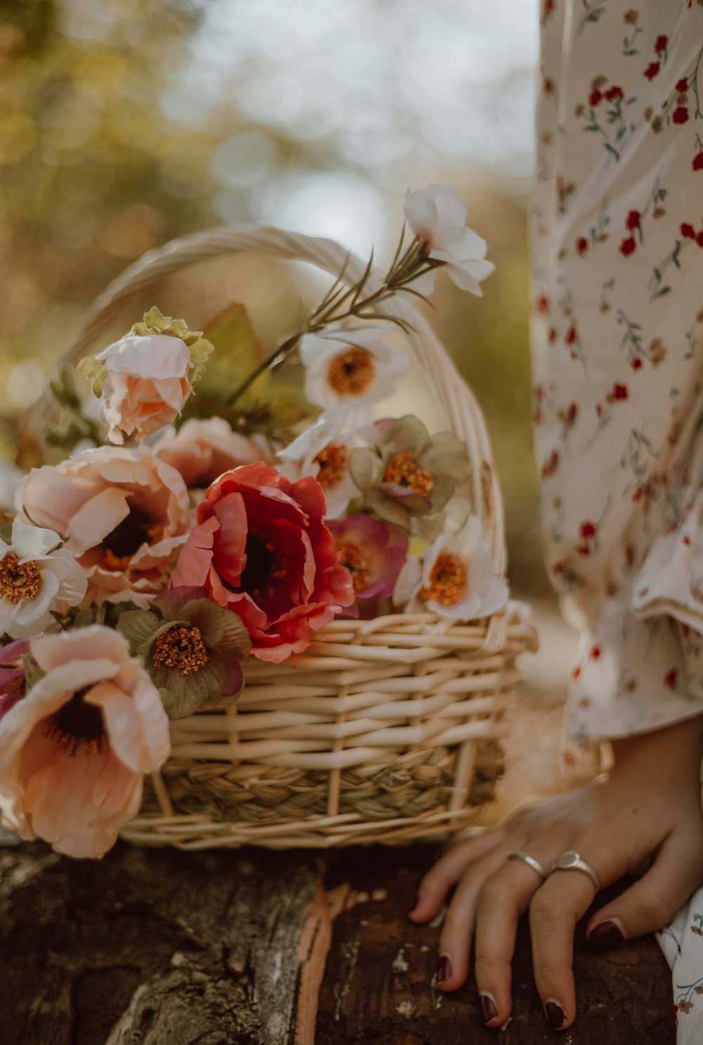 pink and white roses in brown woven basket