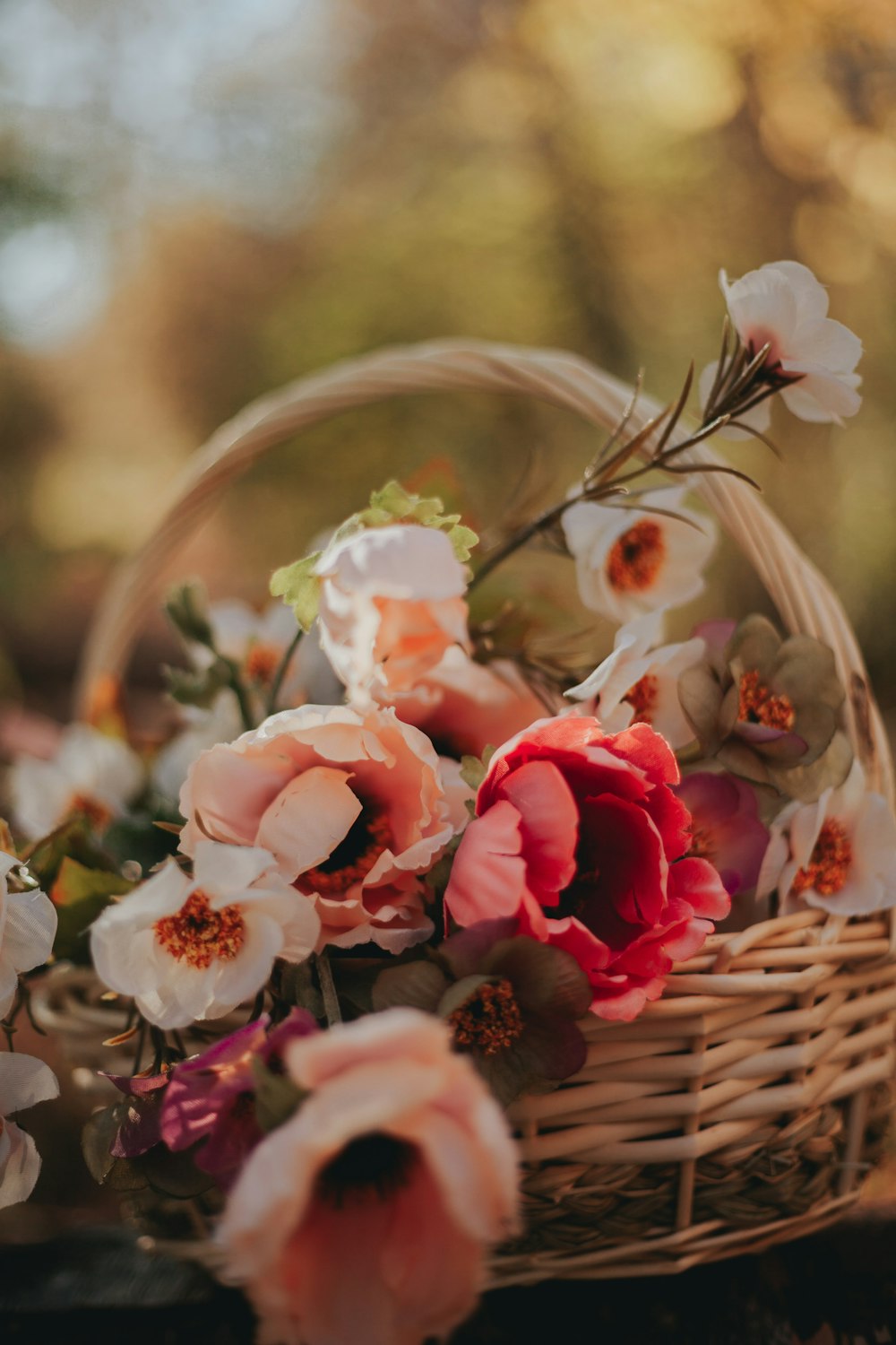 pink and white roses in brown woven basket