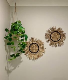 A home makeover corner showcasing handcrafted jute wall hangings, natural fiber rugs, and green leafy plants.