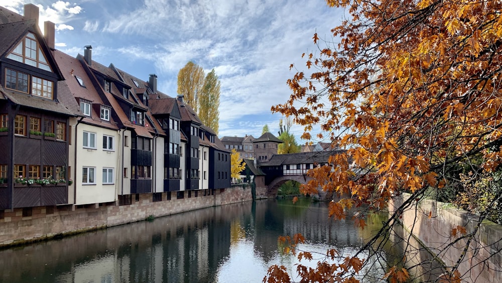 brown and white concrete house beside river under blue sky during daytime