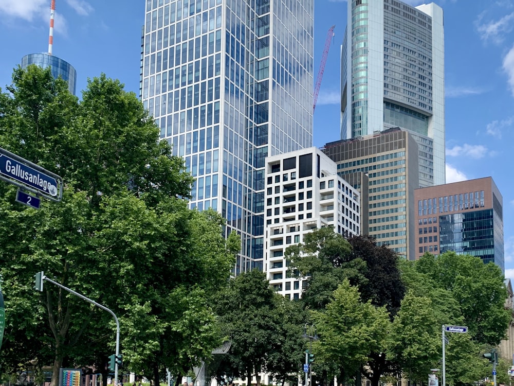 green trees near white and blue high rise building during daytime