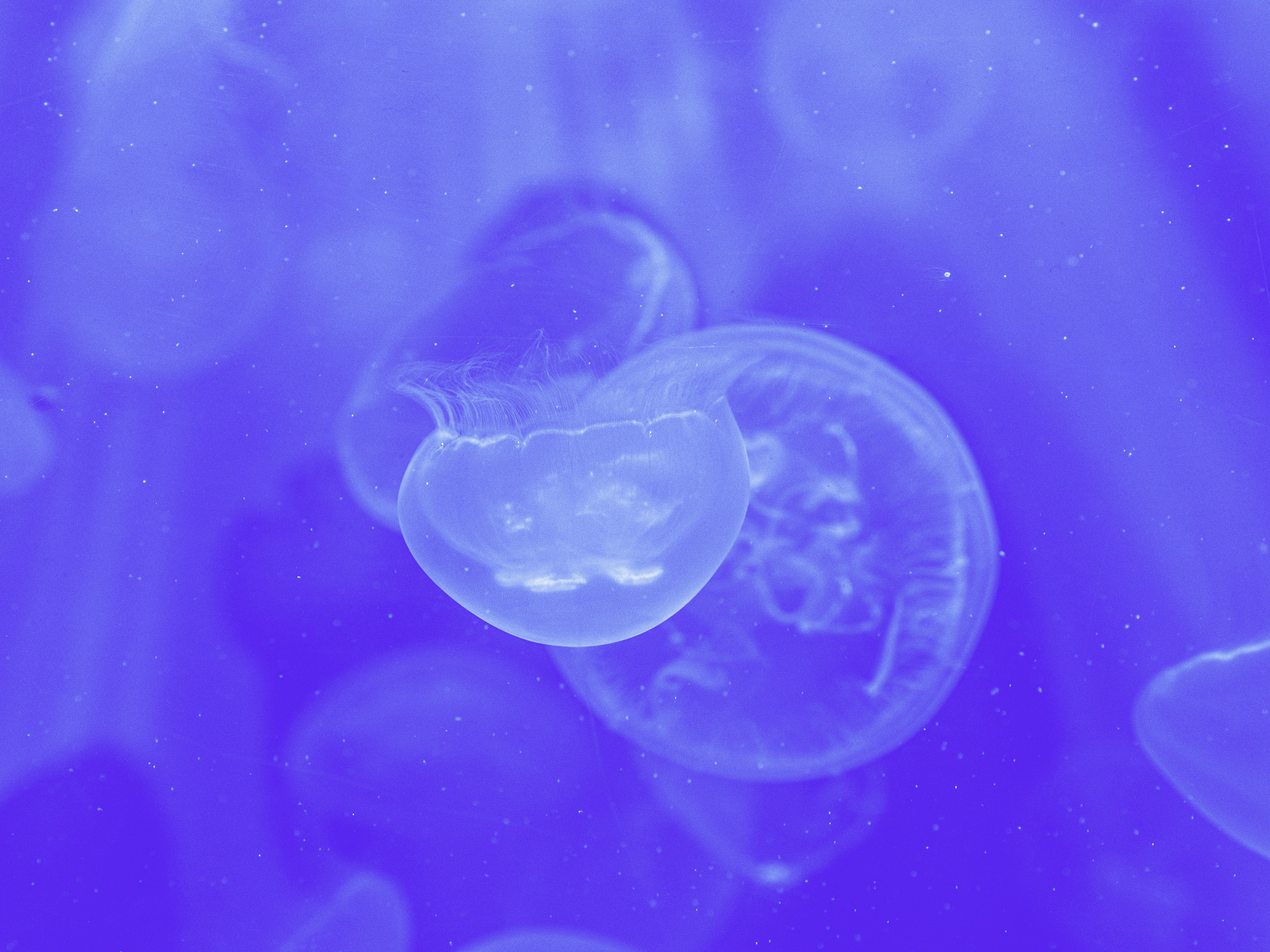 Photo by maxence_pira