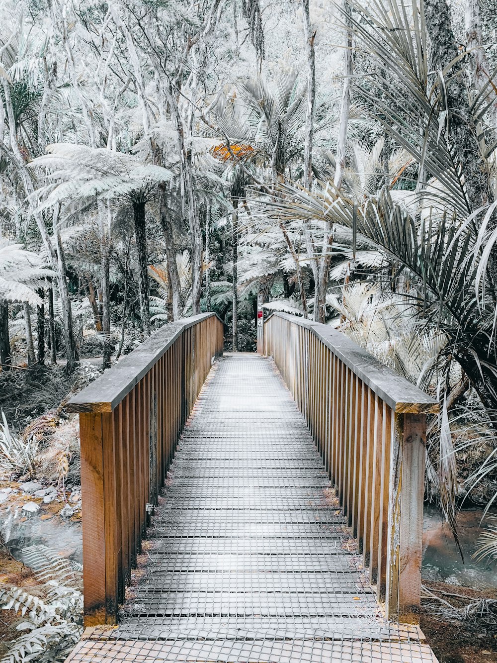 brown wooden bridge in between trees covered with snow during daytime