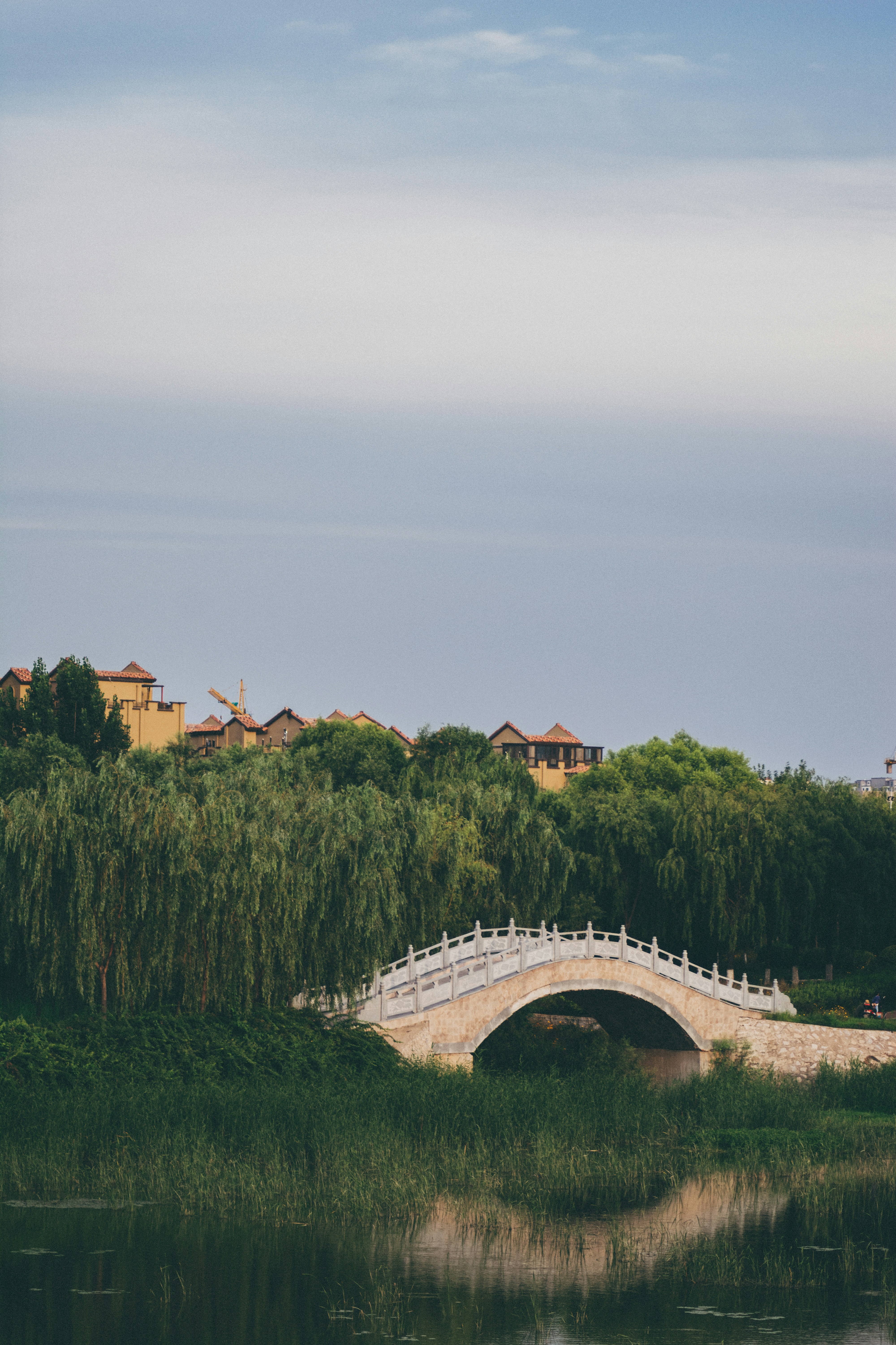Photo by zyx