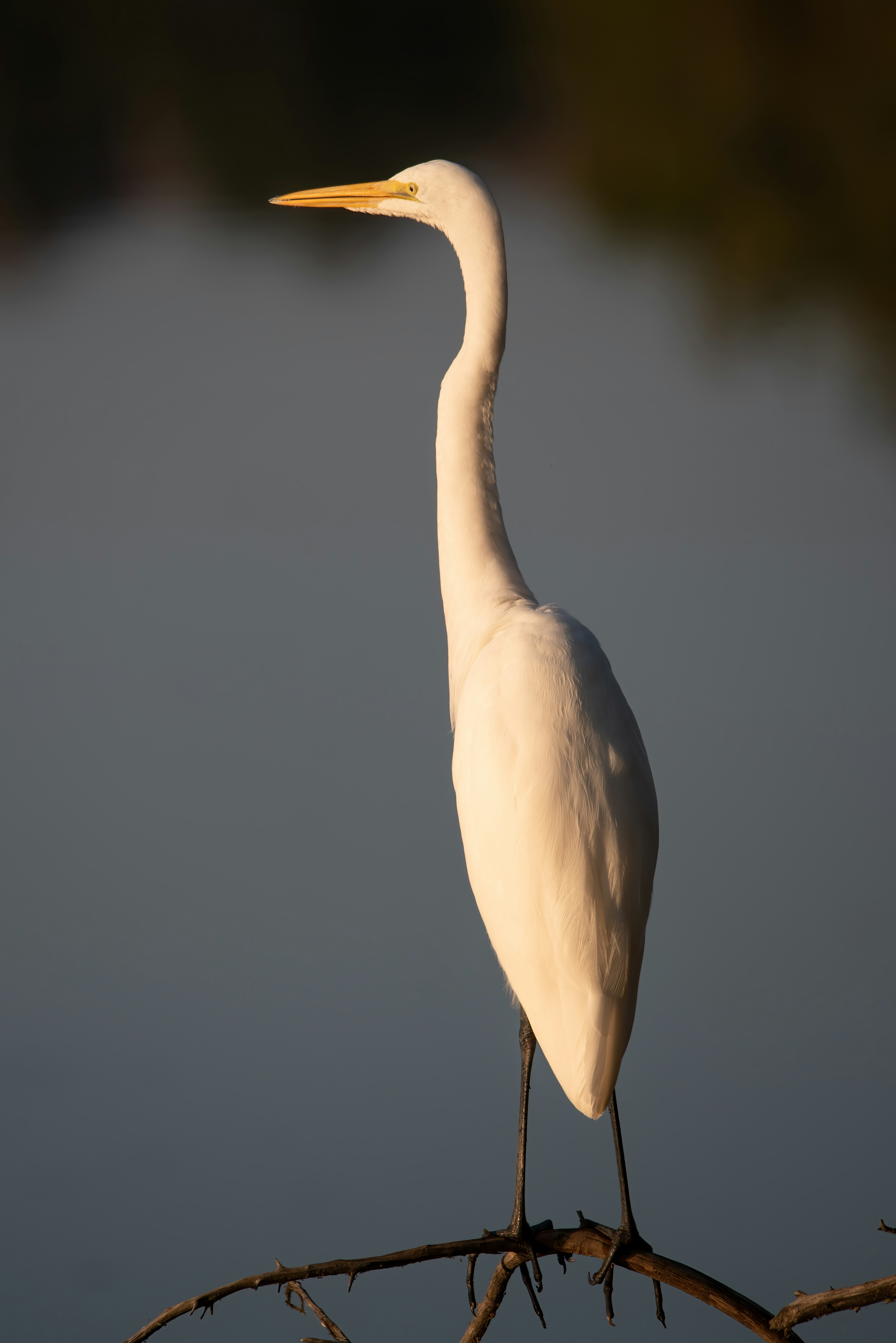 Photo by tracminhvu