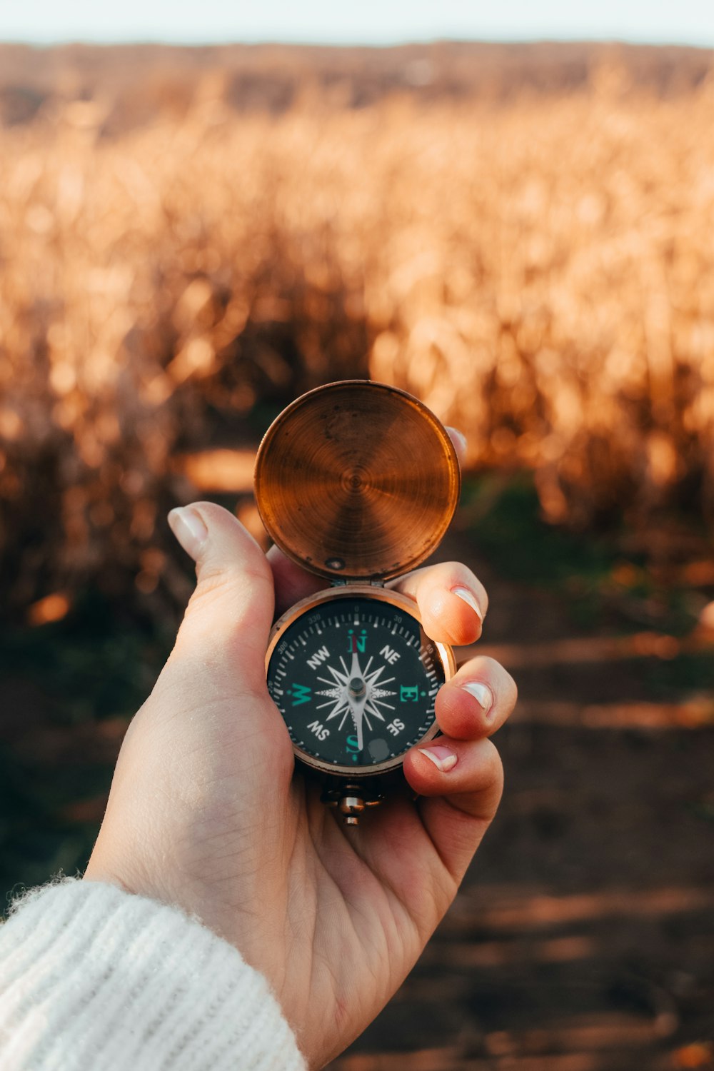 person holding gold and silver compass
