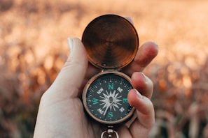 person holding green and gold compass