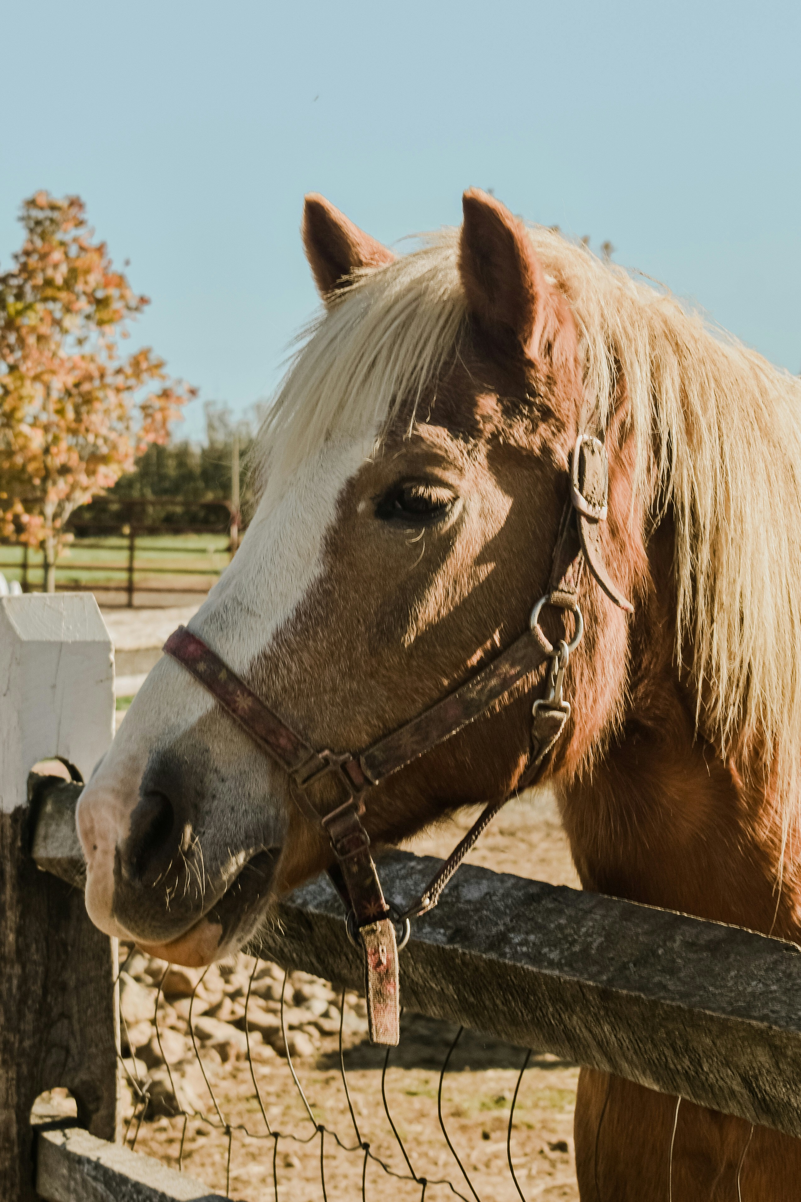 Photo by mariahhewines