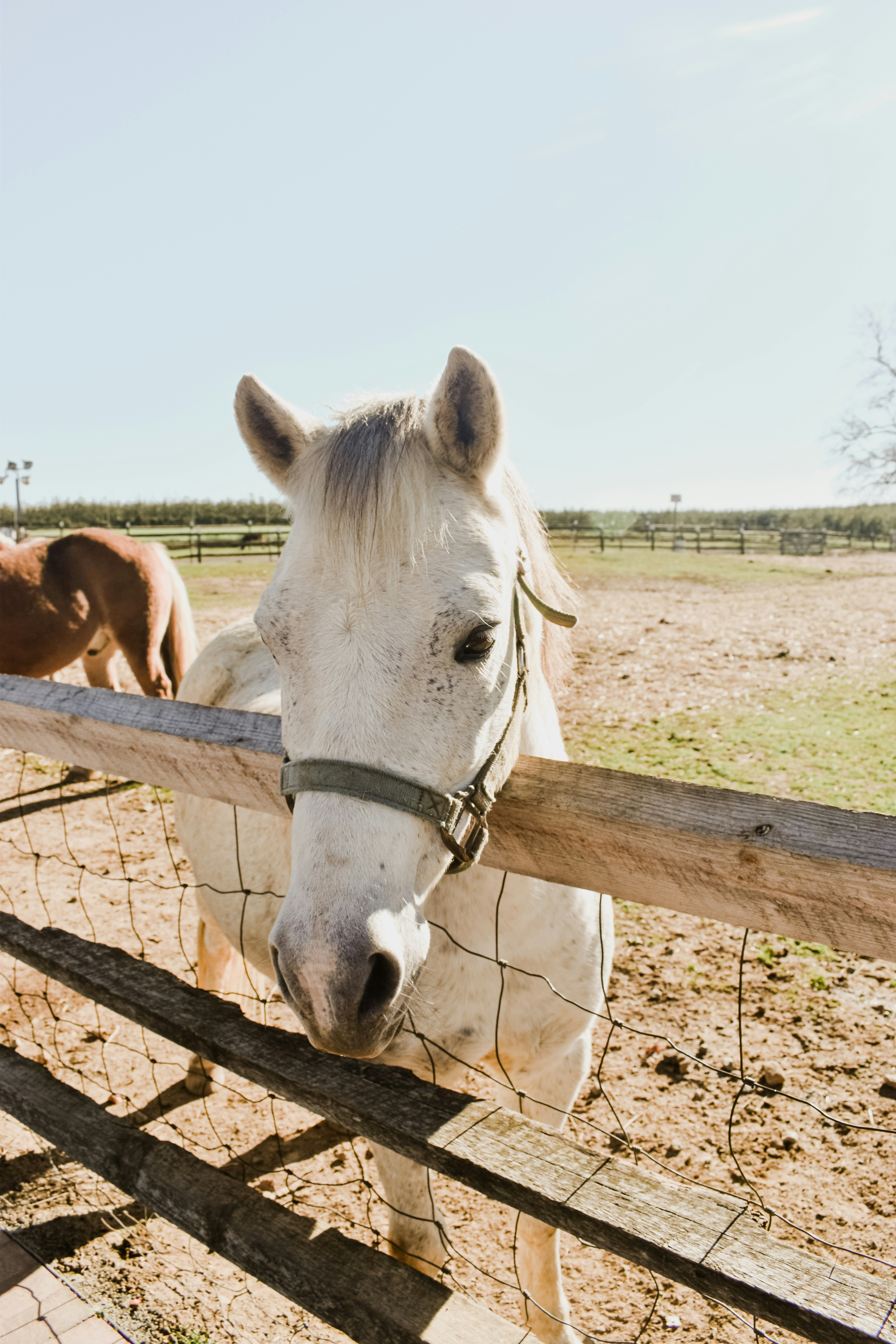 Photo by mariahhewines