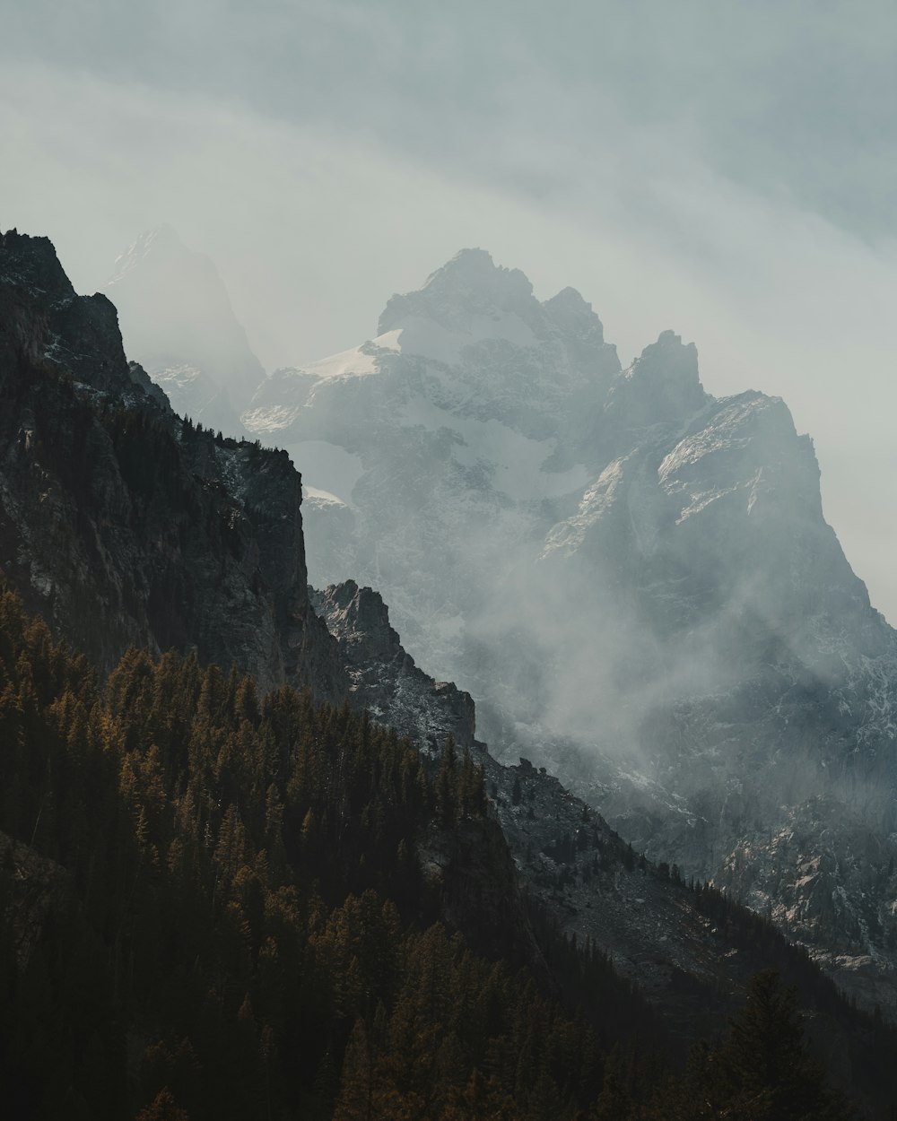 a mountain covered in clouds and trees