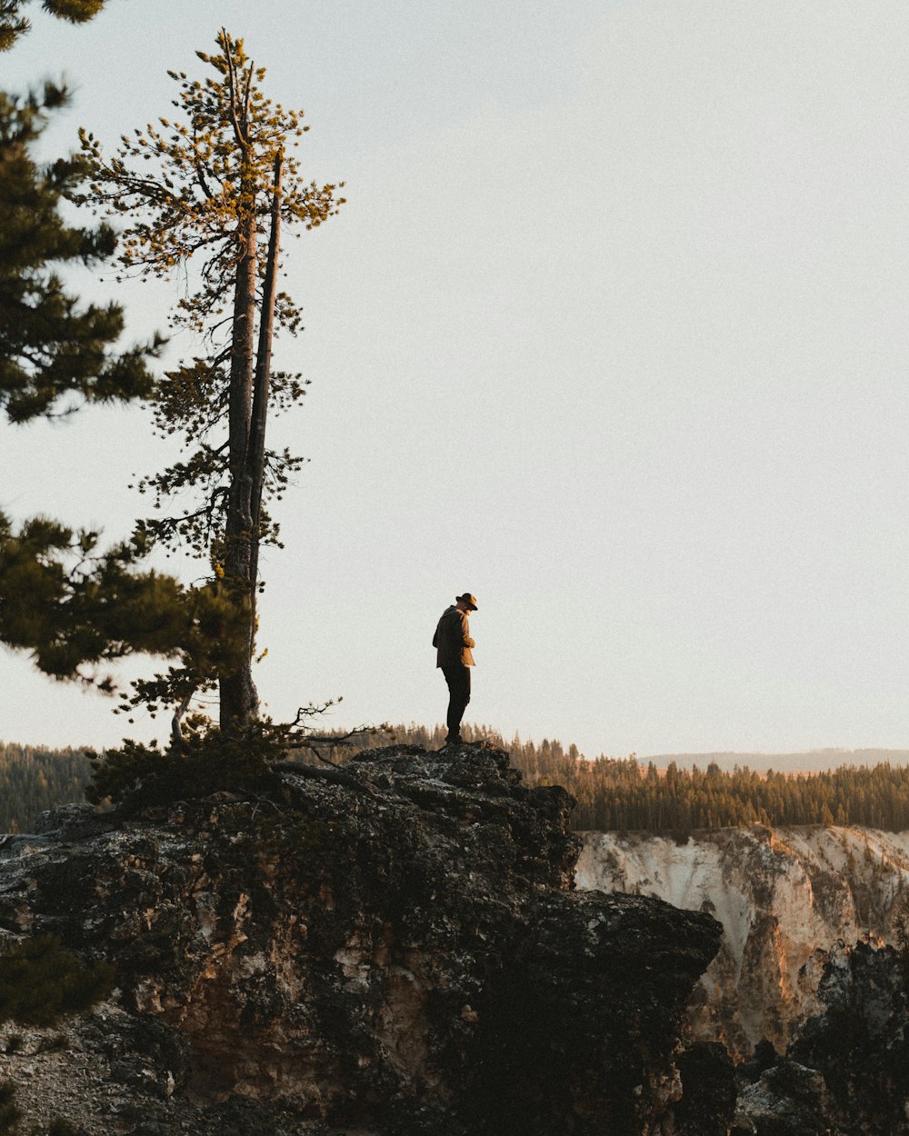 a man standing on top of a cliff next to a tree