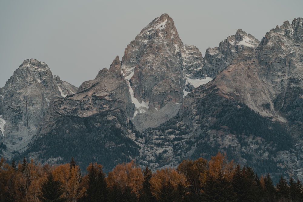 a group of mountains with trees in front of them