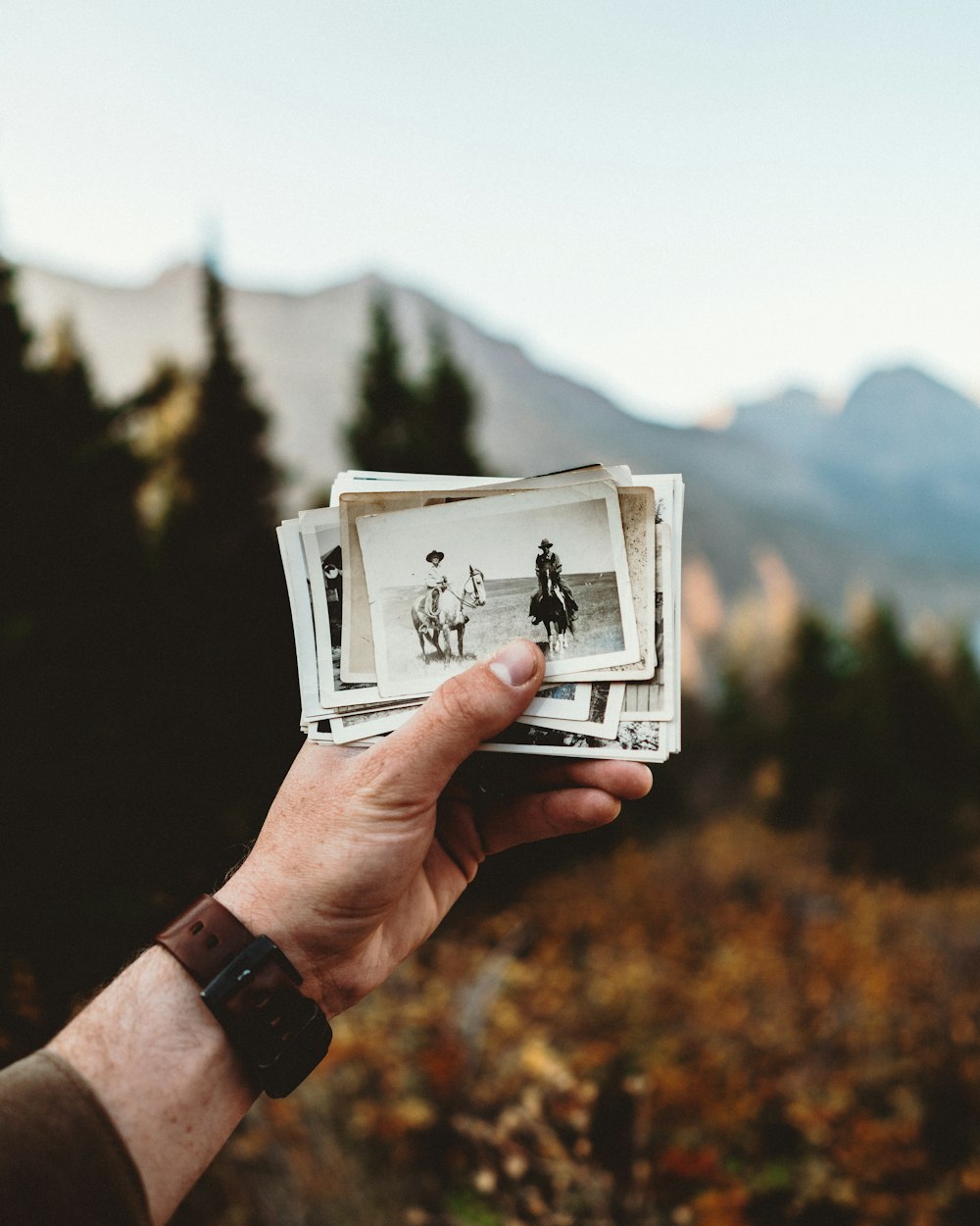 person holding white photo frame