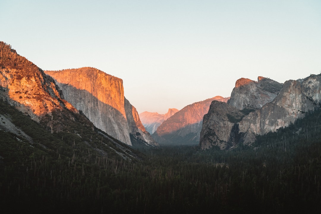 Yosemite Picture Revocable Trusts in California