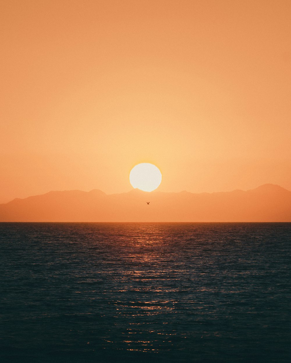 body of water during sunset