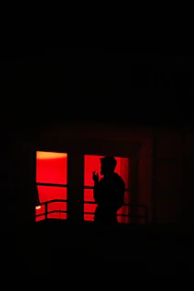 silhouette of man standing near window