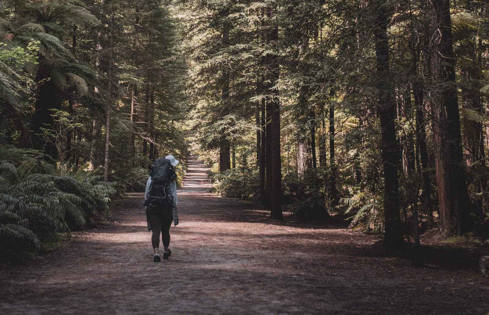 Person beim ruhigen Gehen auf einem Waldweg
