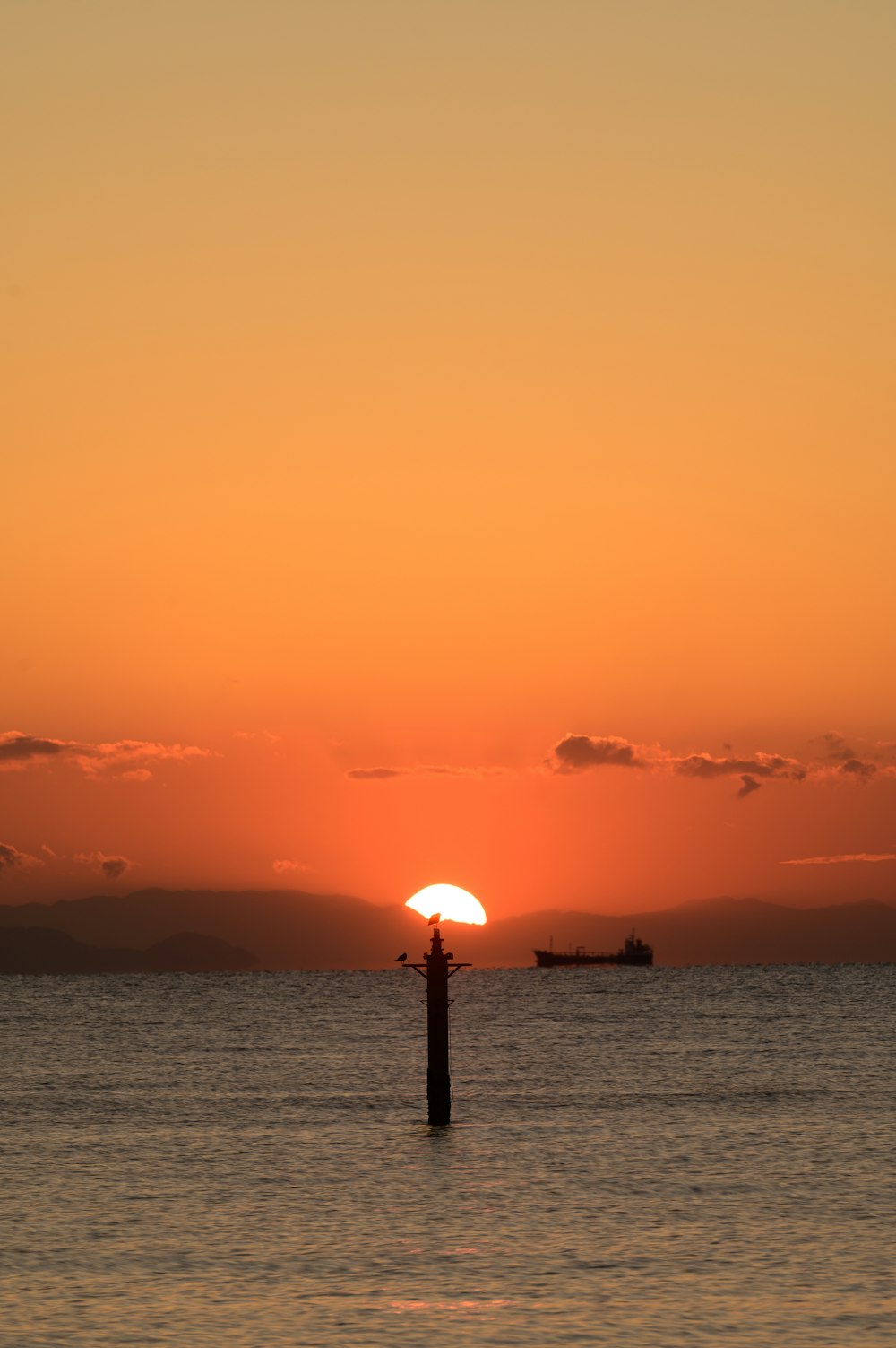 silhouette of person standing on dock during sunset