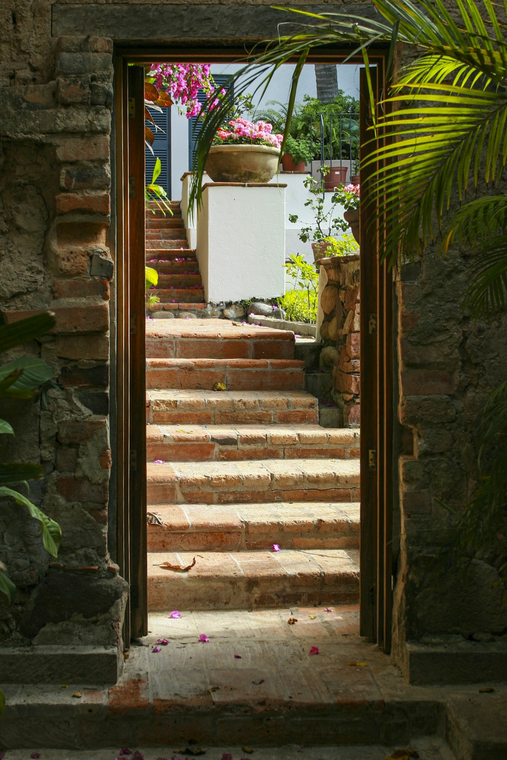 Planta verde en maceta blanca