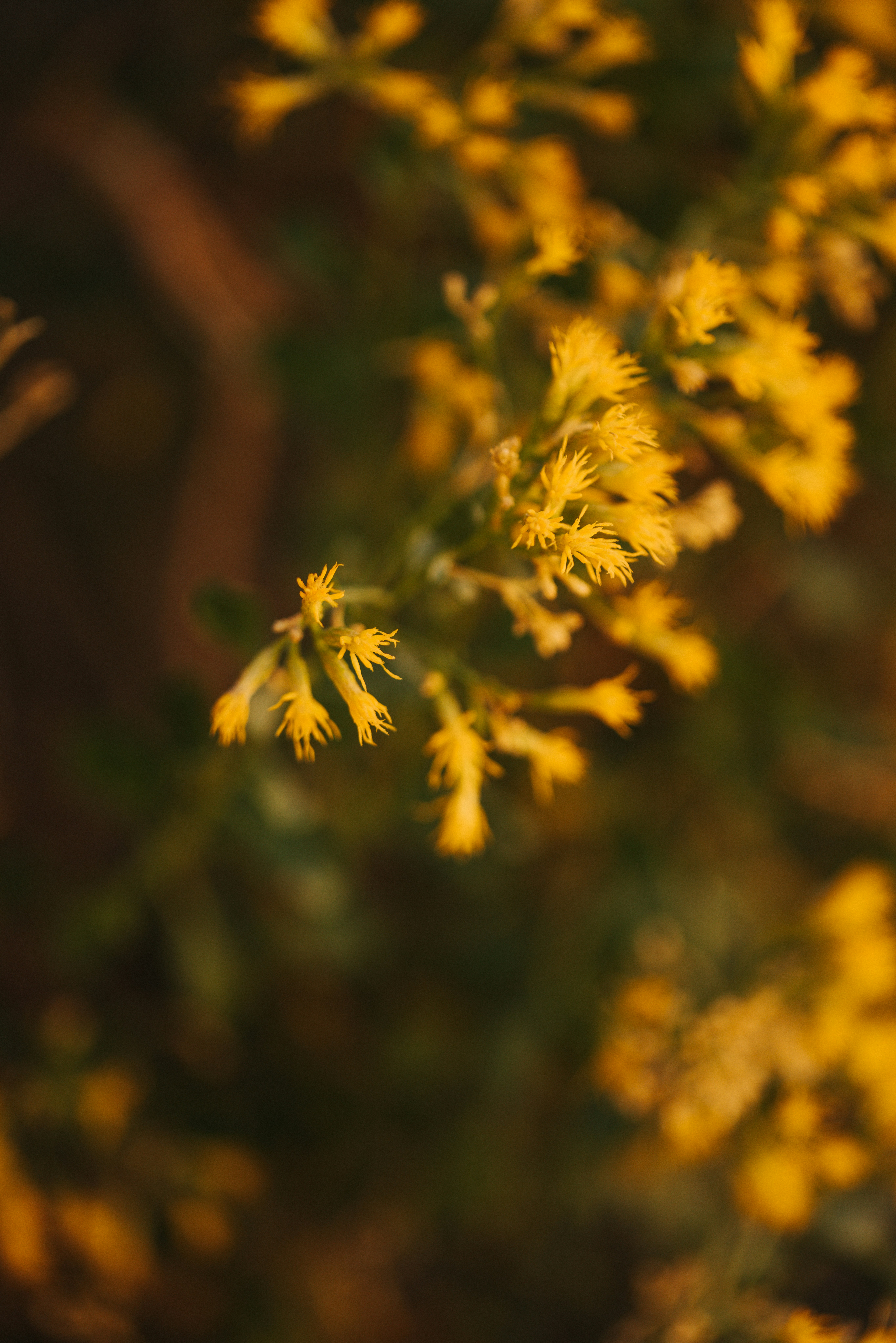 Photo by nate_dumlao