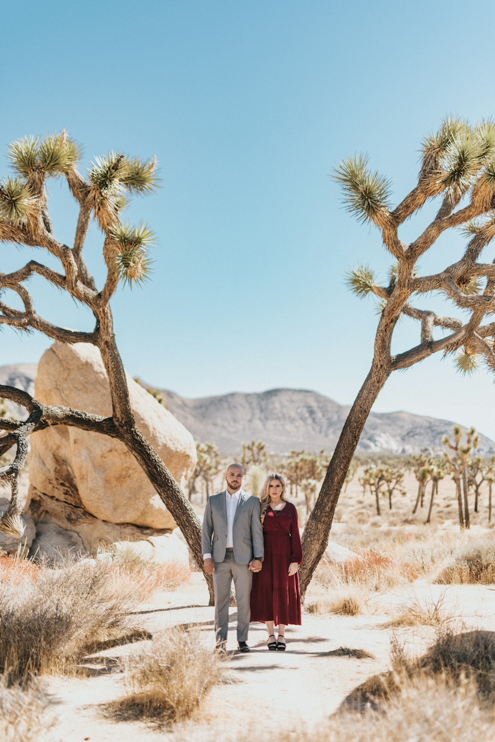 couple standing near brown and green tree during daytime