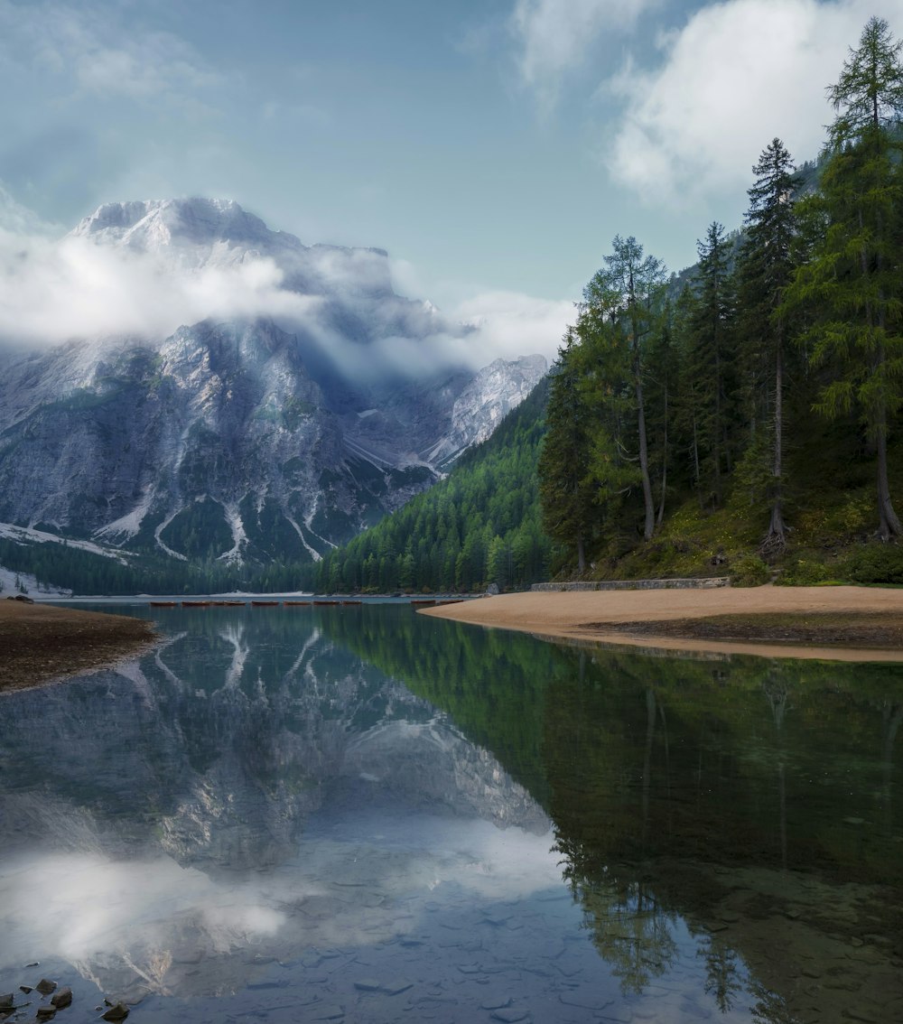 green trees near lake under white clouds and blue sky during daytime