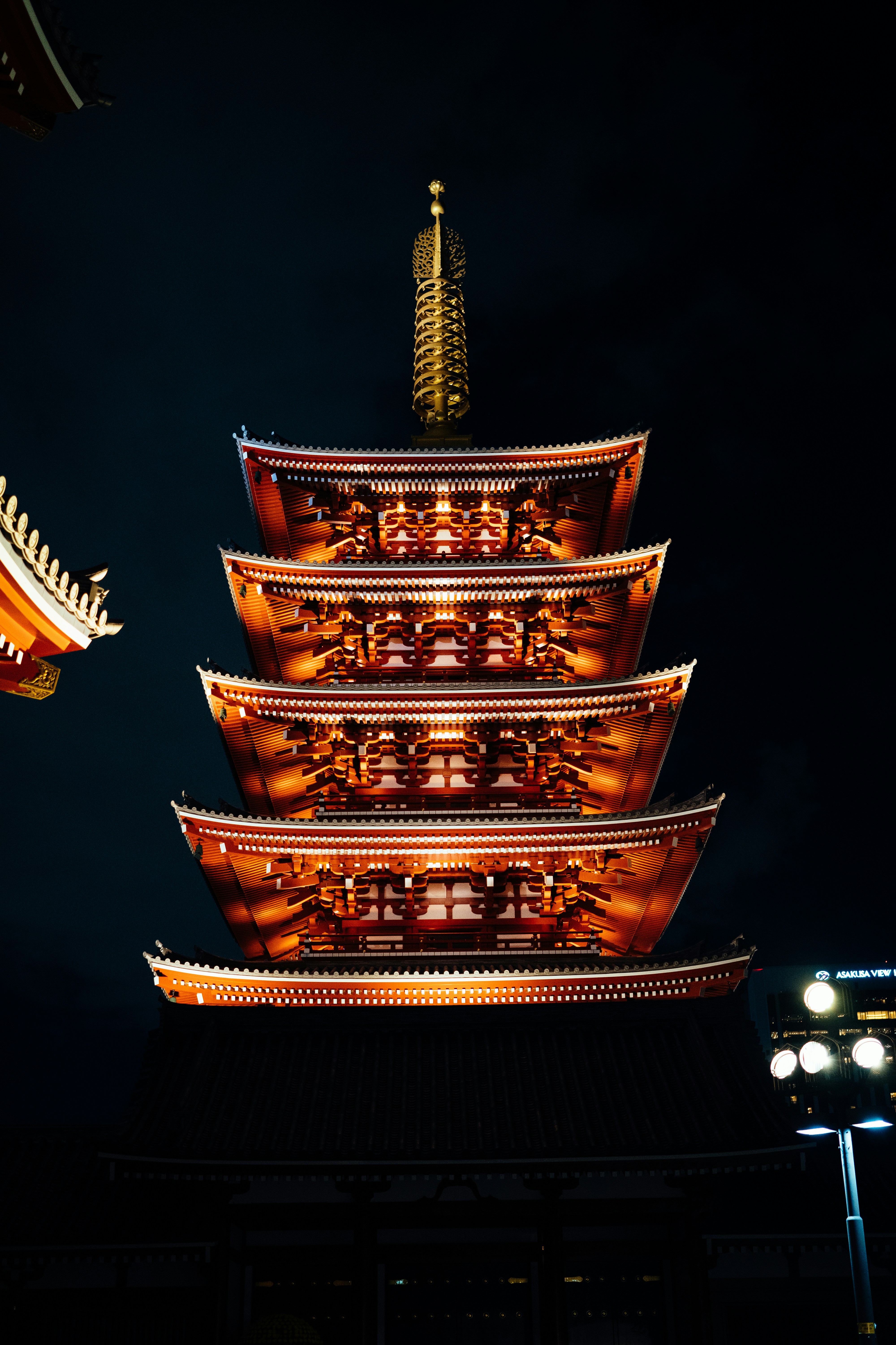 Photo by paracetamol