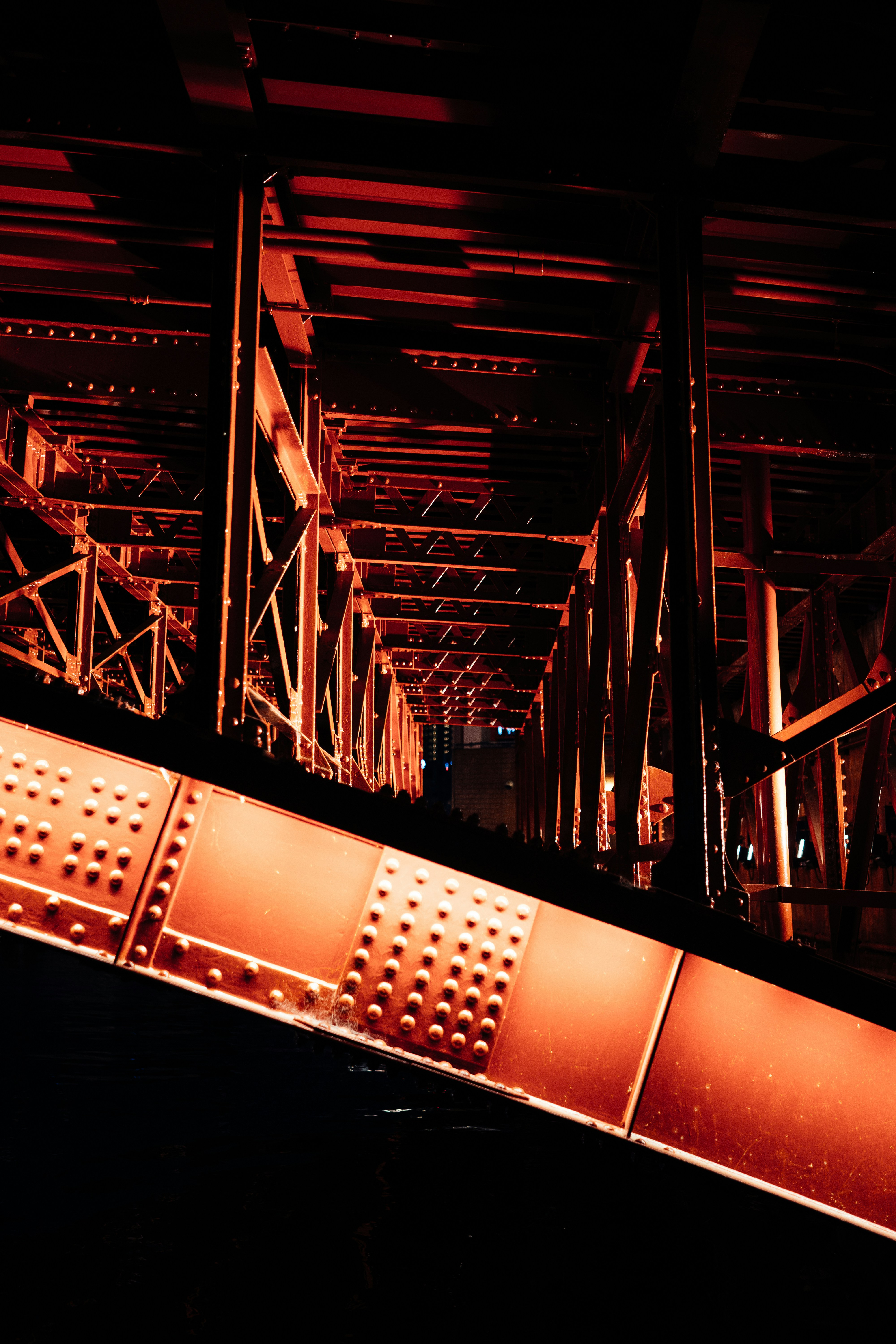 Photo by paracetamol