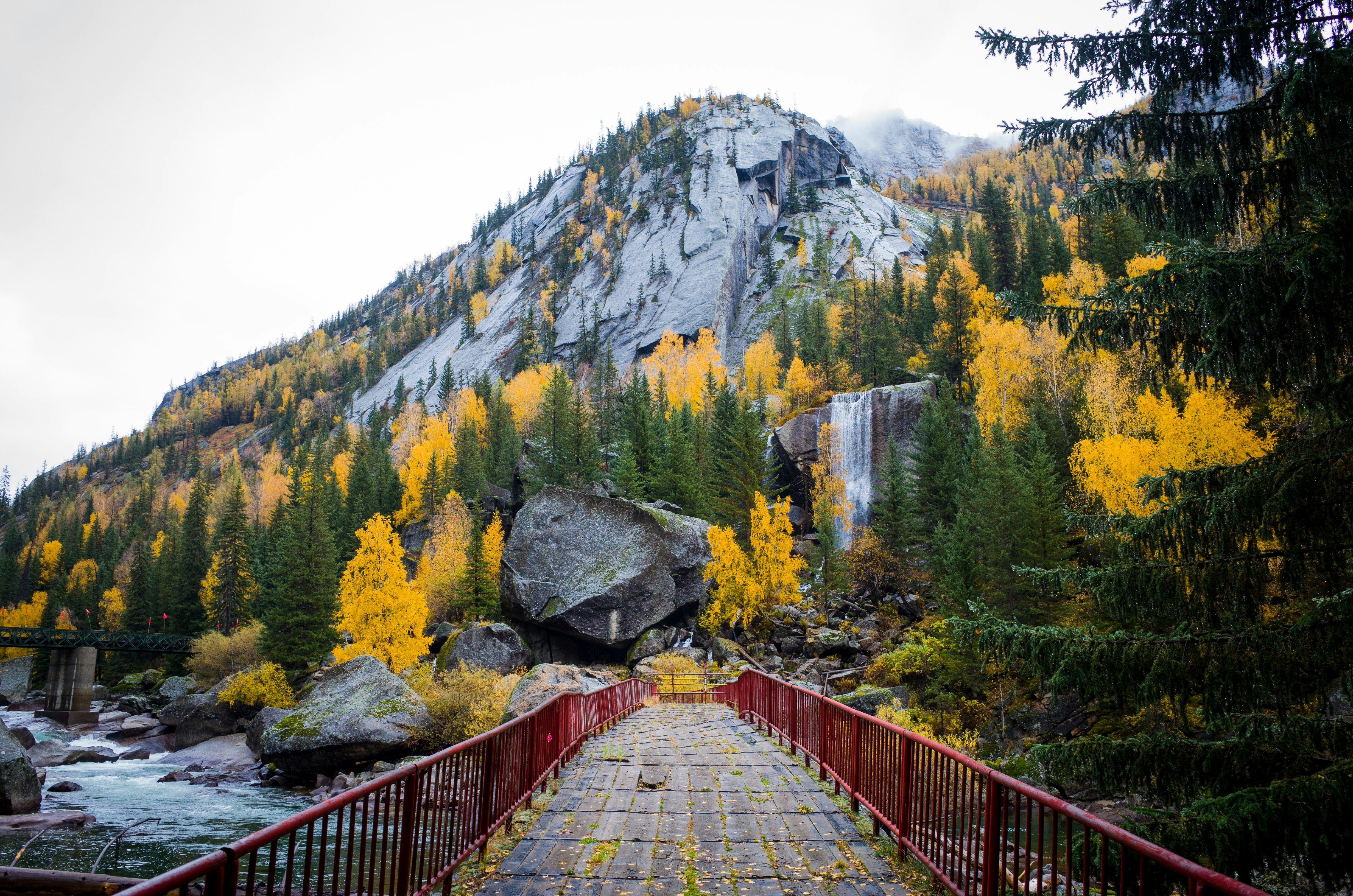 Brown wooden bridge near green trees and mountain during daytime photo ...