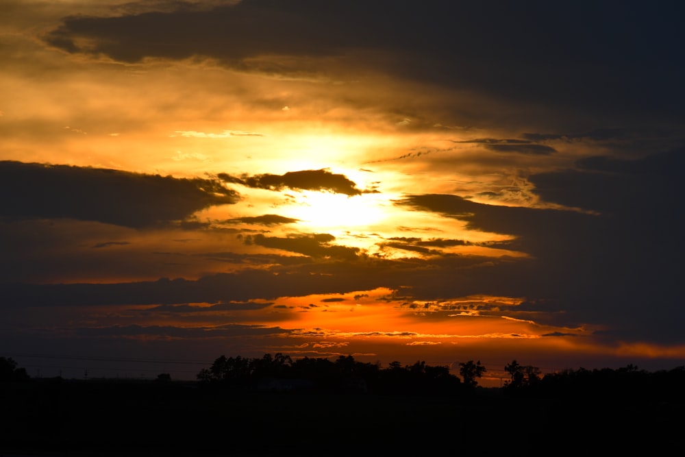 silhouette of trees during sunset