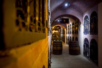 A dimly lit wine cellar with brick archways and metal gates lining the walls. Several large wooden barrels are positioned along the stone floor, creating a rustic atmosphere.