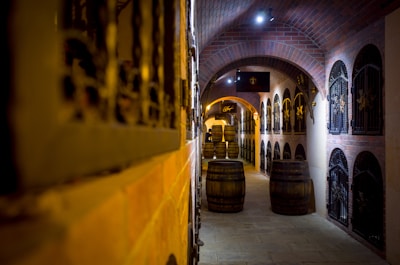 A dimly lit wine cellar with brick archways and metal gates lining the walls. Several large wooden barrels are positioned along the stone floor, creating a rustic atmosphere.